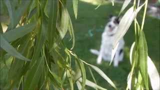 10,000 Miles by Mary Chapin Carpenter