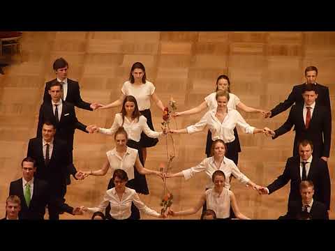 Wiener Opernball 2018, Generalprobe, Einzug der Debütanten II