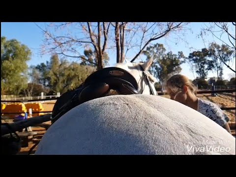 Seyunique Equestrian - Blow me away