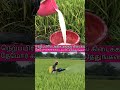 அதிக மகசூல் பெற தேமோர் கரைசல் Agriculturelife Farm