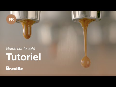 miniature vidéo