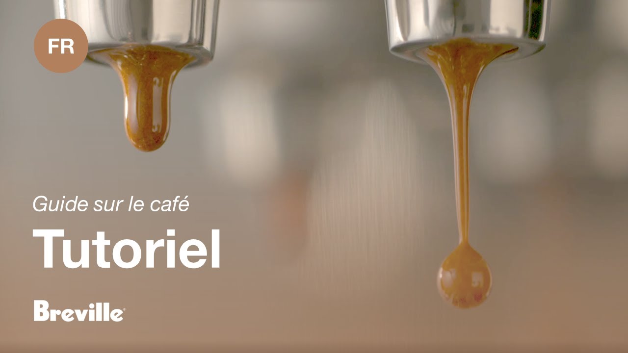 Guide didactique du café Breville - Équilibrer votre extraction