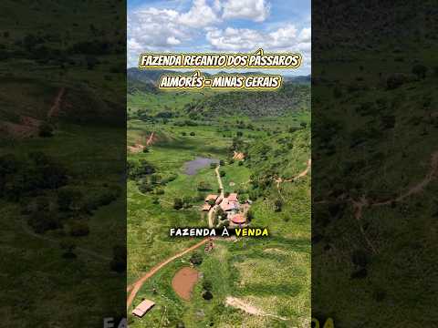 Fazenda Recanto dos Pássaros em Aimorés - MG