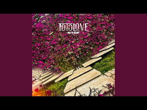 TOTOLOVE