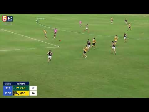 Rd 4 SANFL Snapshot - Eagle Zane Williams finishes lovely team play