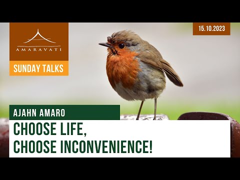 Choose Life, Choose Inconvenience! | Ajahn Amaro | 15.10.2023