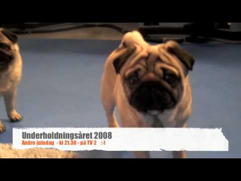 Underholdningsåret 2008