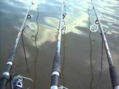 Mostistea Faurei Calarasi pescuit la statie-lanset