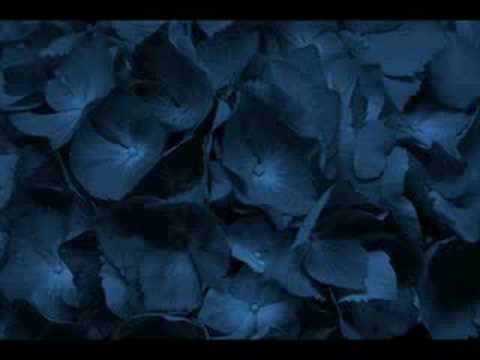 Kayah "Twoja Dłoń"