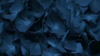 Twoja dłoń Music Video