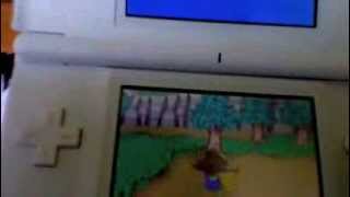 The Intense and Mellow Sides of Animal Crossing...