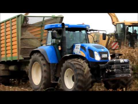 [HD] Lohnunternehmen Mikus häckselt Mais mit Krone Big X650