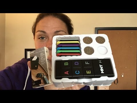 MINT H and MYNT ES Review