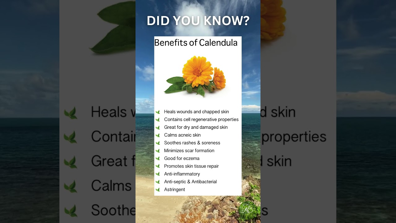 Health Benefits of Calendula