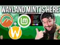 Linux Mint S Wayland Session Is Ready After 3 Years
