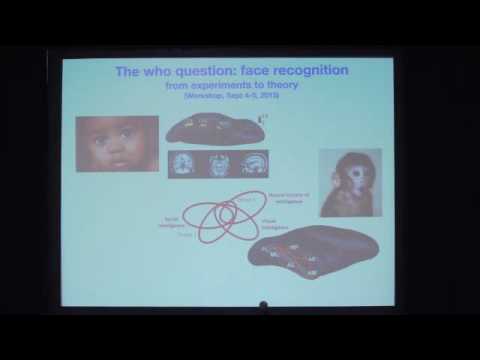 Symposium: Brains, Minds and Machines - Tomaso Poggio