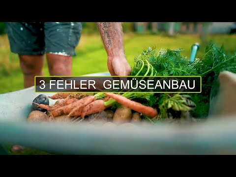 3 häufige FEHLER beim GEMÜSEANBAU im Garten | Jaworskyj
