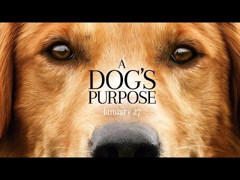 A Dog's Purpose - Official Trailer (HD)