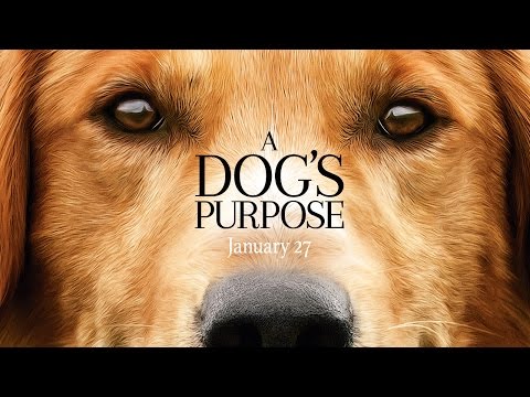 YouTube video about: Where can I watch a dog's purpose for free?