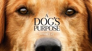 A Dog's Purpose Film Trailer