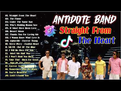The best songs of Antidote Band - Antidote Band Nonstop Songs 2023 - Straight From The Heart