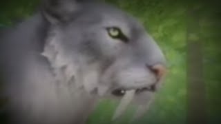 この度...うんがは......なんと...................