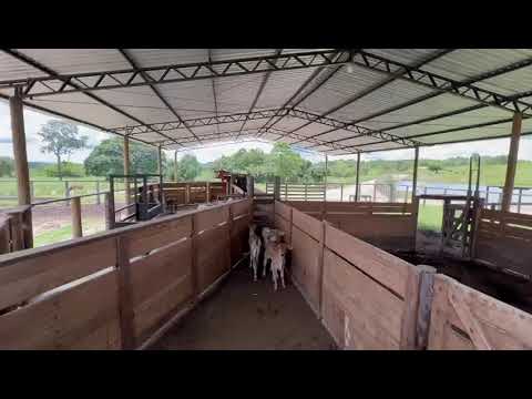 Fazenda Morro Agudo 8