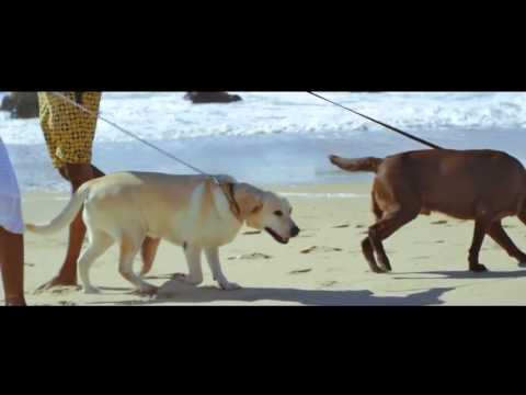 Euridse Jeque   No Que Vai Dar  Video Oficial 2016