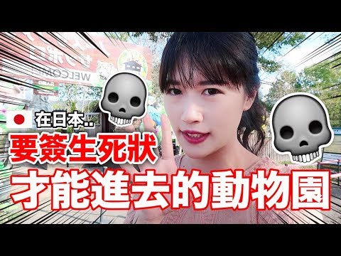 【危險】要簽生死狀才能進去！日本最危險的動物園也太可怕了！！😱｜MaoMaoTV thumnail