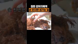 자는 줄 알고 손 잡았다가 ㅋㅋ