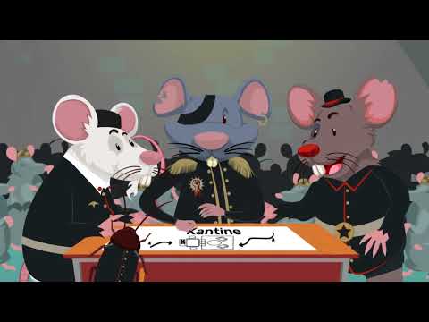 Schädlingsmonitoring / Schädlingsbekämpfung