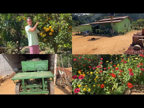 SIMPLICIDADE NA  ROÇA EM MINAS GERAIS, AQUI NOIS ANDA E NO TABAJARA, VOCÊ CONHECE ?