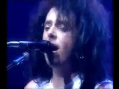 Toto - Without your love (live in paris 1990)