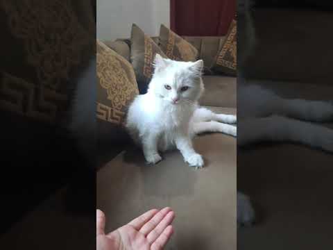 mental health ko kesy behtr kia ja skta hai