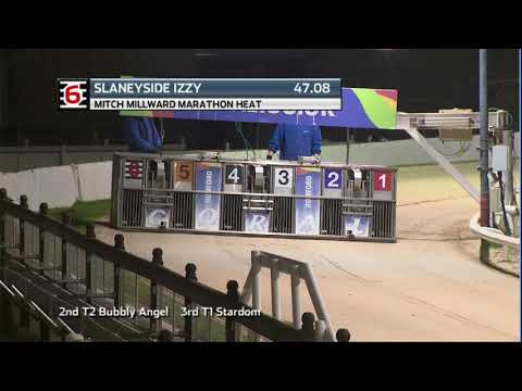 2020 MITCH MILLWARD MARATHON - HEAT 2 - T6 SLANEYSIDE IZZY