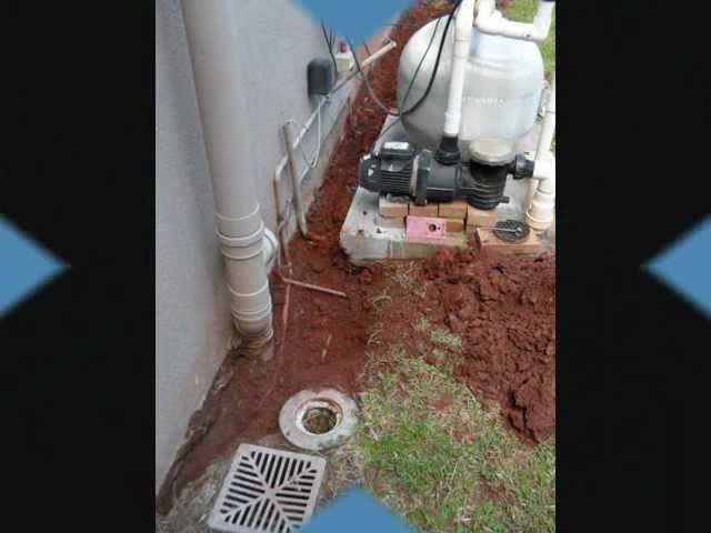Cairns Pest Control Services - Edmonton, QLD