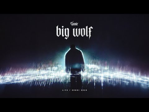 Tamir Grinberg - Big Wolf (Live) - תמיר גרינברג