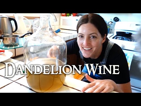 Happy Hobbit: Dandelion Wine - Episode 99