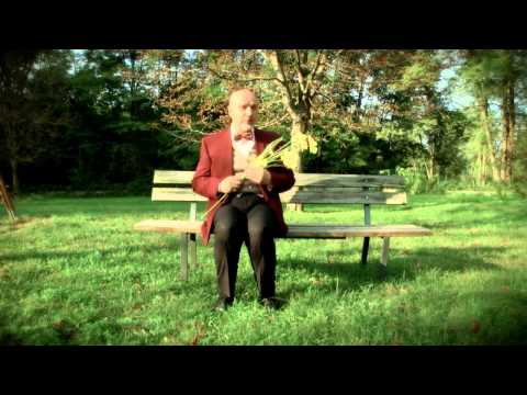 Fausto dei Girasoli - Vestita era un angelo