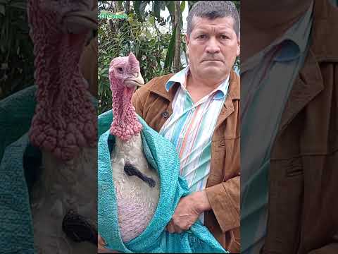 👍🏻Buenavista Occidente de Boyacá Colombia🌄