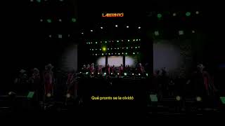 Jefe de Nuevo Laredo 🎶🤠 #fypシ #regionalmexican #musica #grupolaberinto