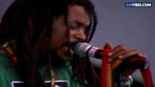 The Wailers - Trenchtown Rock Live (Gathering of the Vibes)