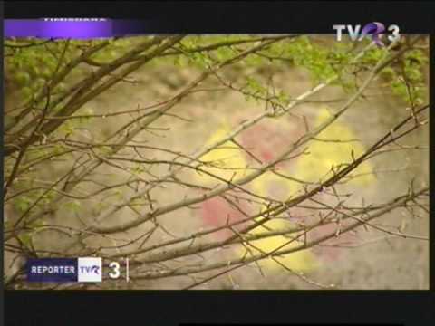 Ciudanovita -Caras Severin  / 2