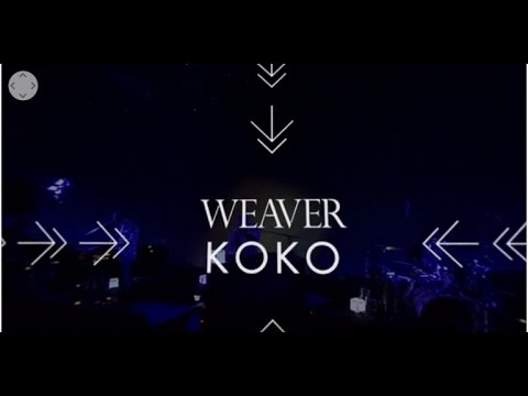 WEAVER「KOKO」360°動画 ＠“Rainbow Lounge”
