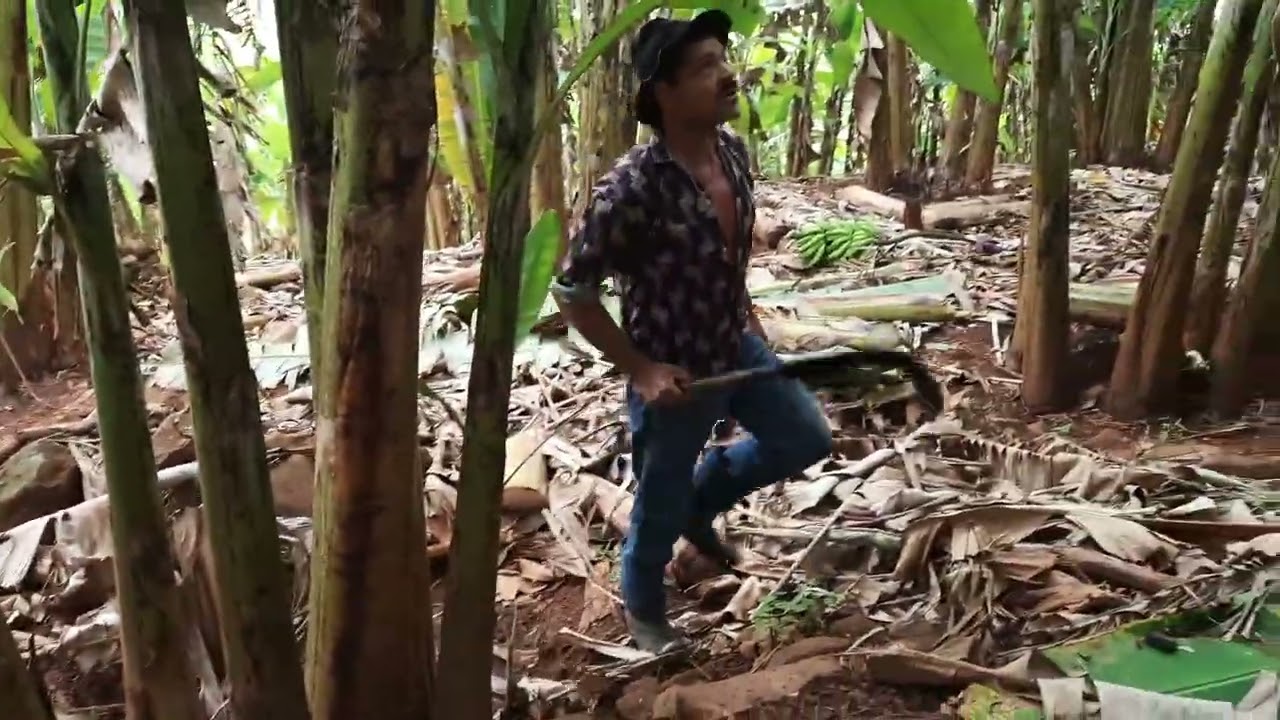 QUANDO DEUS QUER É ASSIM!