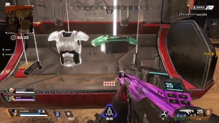 Apex .熊とみーちゃんでやるよ！