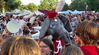 Million Dollar Band (ELEPHANT STOMP) September 25, 2021