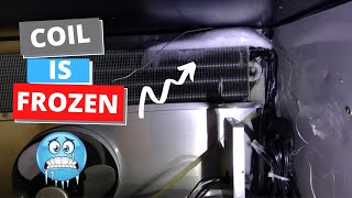 True 3-Door Cooler Is Not Cooling