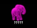 15 Elephant Trumpeting Sound Variations In 45 Seconds MODIFY EVERYTHING