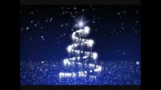 MEOW FRANK ZAPPA  ...